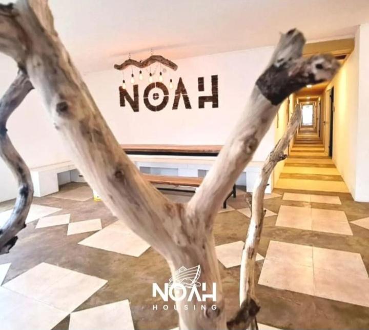 Noah Housing Hostel Santo Tome  Bagian luar foto